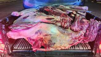 PRF apreende 800 kg de carne bovina sem refrigeração em Garanhuns (PE).