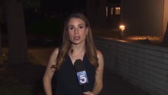 Barata sobre na jornalista Rachel Menitoff durante entrada ao vivo