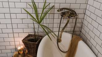 Uma planta no banheiro pode ajudar a reduzir a umidade? Descubra o que realmente funciona para manter o ambiente mais saudável e evitar o mofo