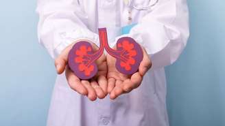 Saiba como essas condições podem prejudicar os rins e descubra quais hábitos ajudam a prevenir a doença renal crônica