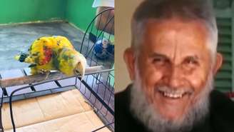 Papagaio de Frei Damião continua vivo quase 30 anos após a morte do religioso; conheça a história da ave, considerada uma relíquia