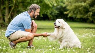 Estudo mostra que o humor dos tutores pode influenciar o comportamento dos cães; entenda por que eles são tão sensíveis aos sinais humanos 