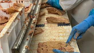 Preparação de fígados de pato para a produção de foie gras na fábrica Canards d’Auzans, no departamento de Gers, no sudoeste da França. A iguaria é produzida a partir da alimentação forçada de patos e gansos, prática que acaba de ser proibida no Brasil.