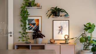 Descubra sete plantas que se adaptam muito bem a apartamentos e ainda transformam a decoração com muito verde