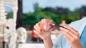 Entenda o que é a MASLD, nova sigla para a gordura no fígado. Saiba quais são as causas, sintomas e formas de diagnóstico