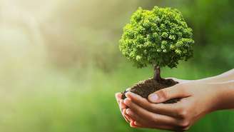 Pequenas atitudes diárias ajudam a conservar a natureza e proteger o futuro do planeta