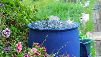 Sistema de captação da água da chuva mostra como é possível reutilizar esse recurso de forma sustentável na irrigação do jardim