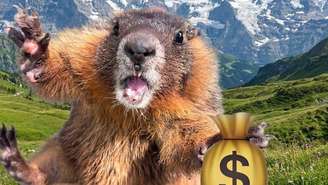 Confira como os pesquisadores resolveram o problema do financiamento