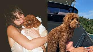 Queridinho de Bruna Marquezine, o Poodle Toy precisa de cuidados especiais para uma vida longa e saudável; saiba mais