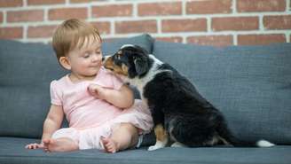 Estudo sugere que bebês que convivem com cães apresentam menos necessidade de antibióticos no primeiro ano de vida