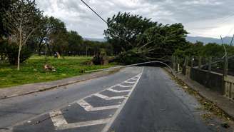 Ventania pode atingir 50 km/h no fim de semana