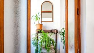 Mesmo corredores com pouca luz podem ganhar mais vida com as plantas certas