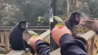 Vídeo do momento da agressão circula nas redes sociais