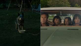 O cachorro sobrevive em 'O Fim da Rua', ficção científica com Anne Hathaway (Divulgação)