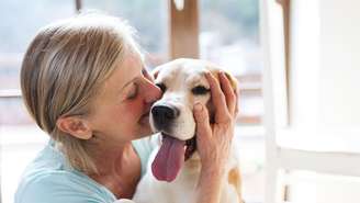 Os momentos vividos ao lado do pet também ajudam a construir memórias que permanecem após a despedida