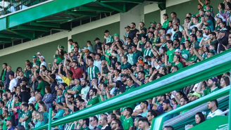Torcida da Chapecoense 