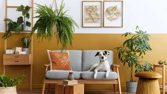 Quer modernizar uma casa antiga sem gastar com reforma? Confira truques simples de decoração para deixar os ambientes mais atuais e elegantes