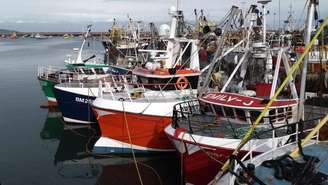 Em portos do sudoeste da Inglaterra, como Brixham, já chegaram a descarregar até 103 toneladas de polvo em um único dia, um recorde histórico. (Imagem de arquivo)