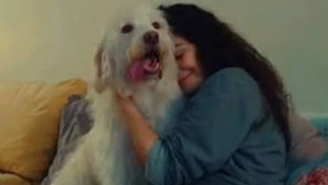 Leticia Sabatella comemora volta de cachorro após batalha judicial; vídeo