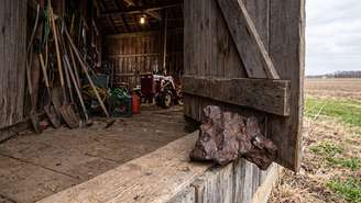 Em uma fazenda no estado de Michigan, nos Estados Unidos, uma pedra usada pelos moradores como um simples peso para impedir que a porta de um galpão se fechasse, era, na verdade, um raro meteorito de ferro, com mais de 10 quilos e um valor estimado em aproximadamente 100 mil dólares.