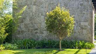 Projeto Alexandre Galhego Paisagismo |