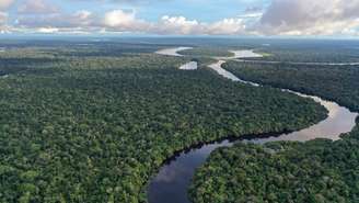 No Dia da Amazônia, conheça 7 motivos para preservar a floresta e entenda como ela influencia o clima, a água, a alimentação e nossas vidas