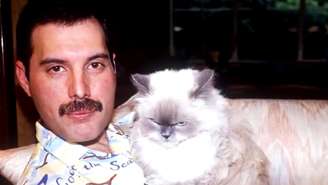 Freddie Mercury era apaixonado por gatos e teve vários ao longo da vida; no aniversário do cantor, conheça esse lado afetivo do astro do Queen