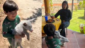 Um banho e uma avaliação veterinária ajudaram a esclarecer o que havia por trás da aparência incomum do filhote; veja imagens