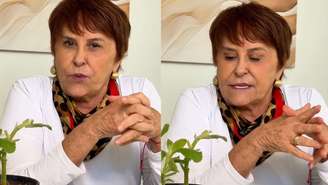 Associado a Oxalá, o ritual indicado por Marcia Sensitiva leva apenas dois ingredientes e deve ser realizado em um dia específico da semana