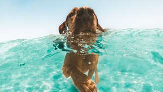 Descubra 3 dicas valiosas para ensinar o cão a nadar com tranquilidade. Aprenda a lidar com a hesitação do pet usando empatia e paciência
