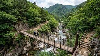 O histórico templo Bogyeongsa marca o início de uma jornada cênica cercada por florestas nativas e vales verdejantes.