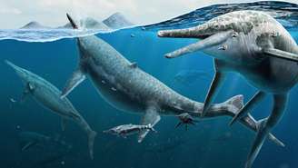 Ichthyosaurus anningae