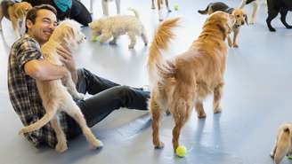 Síndrome de Noé: entenda o transtorno do acúmulo compulsivo de animais