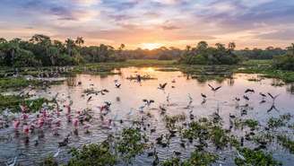 As cachoeiras monumentais e os cânions profundos moldam microclimas singulares na reserva ambiental goiana.