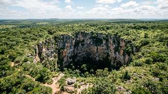 Trilhas contemplativas cercadas por vegetação nativa proporcionam uma imersão única na natureza e na conservação ambiental.