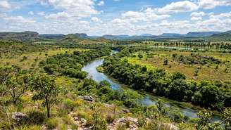 O monitoramento ambiental com câmeras automáticas é fundamental para proteger as espécies do santuário.