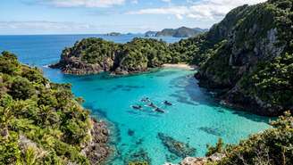 A rica biodiversidade marinha prospera em cenários esculpidos por antigas forças vulcânicas.