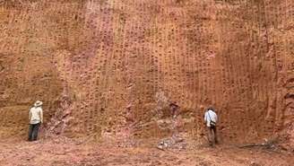 Área de reservas de minério de terras do projeto Caldeira, da Meteoric Resources, na região de Poços de Caldas (MG)