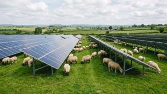 A integração entre pecuária e tecnologia verde reduz custos operacionais e promove um ecossistema equilibrado.