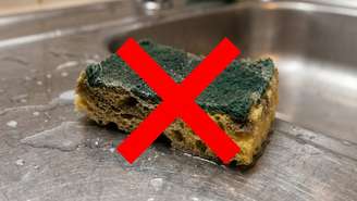 Especialistas recomendam a substituição das esponjas tradicionais por escovas plásticas mais higiênicas.