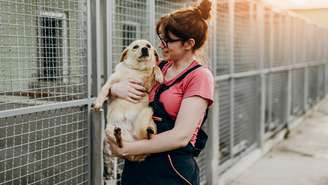 Descubra 10 razões apaixonantes para fazer adoção. Veja como cães e gatos de abrigo renovam a casa, melhoram a saúde e trazem amor ao lar