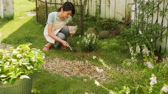 Aprenda a criar um jardim lindo e funcional em quintais pequenos! Confira as dicas valiosas da arquiteta Cilene Lupi para otimizar o espaço sem erro