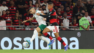 Flamengo x Palmeiras