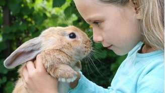 É preciso sempre estar atento aos dentes do coelho, que não param de crescer. O ideal é alimentá-los com vegetais com talos