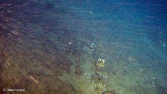 Banco de rodolitos coberto por algumas esponjas-do-mar descobertos dentro do bloco onde a Total quer explorar petróleo. Eles estão a 180 metros de profundidade e 120 km da costa brasileira. 