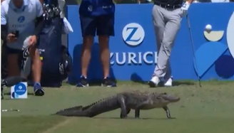 Situação inusitada aconteceu no último domingo, 26