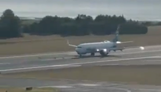 Avião da Alaska Airlines colide com grupo de veados em pista de pouso