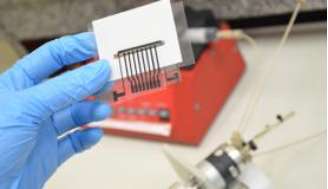 Biomarcador para detecção de Alzheimer criado por cientistas da Universidade de São Carlos