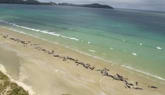 Baleias encalhadas em praia da Nova Zelândia 25/11/2018  New Zealand Department of Conservation/Divulgação via REUTERS