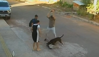 Homem usa pedra para parar ataque de pitbull em Goiânia